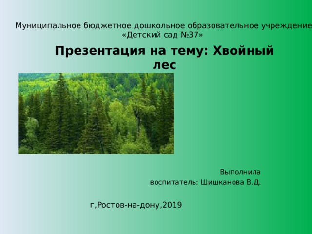 Муниципальное бюджетное дошкольное образовательное учреждение «Детский сад №37» Презентация на тему: Хвойный лес    Выполнила воспитатель: Шишканова В.Д. г,Ростов-на-дону,2019