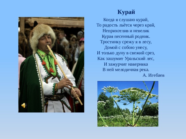 Курай Когда я слушаю курай, То радость льётся через край, Неприхотлив и невелик Курая песенный родник. Тростинку срежу я в лесу, Домой с собою унесу, И только дуну в свежий срез, Как зашумит Уральский лес, И зажурчит наверняка В ней мелодичная река. А. Игебаев