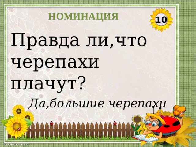 НОМИНАЦИЯ 10 Правда ли,что черепахи плачут? Да,большие черепахи