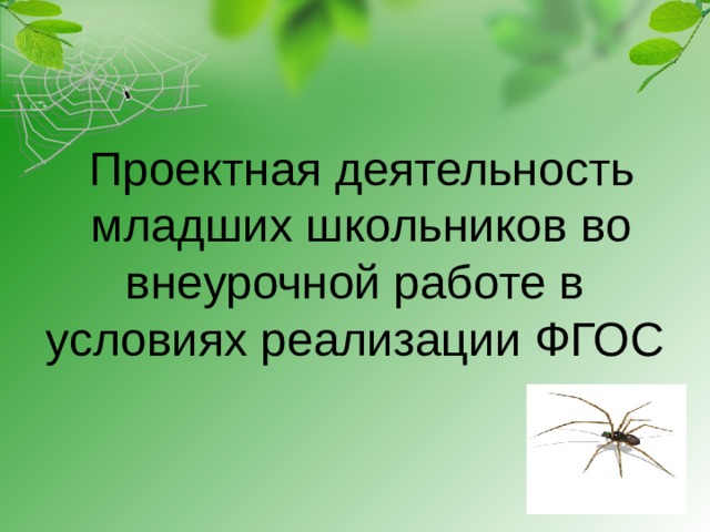 Проектная деятельность  младших школьников во внеурочной работе в условиях реализации ФГОС