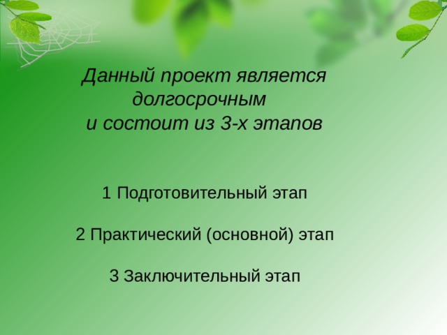 Данный проект является долгосрочным и состоит из 3-х этапов    1 Подготовительный этап   2 Практический (основной) этап   3 Заключительный этап