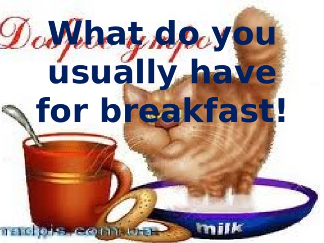 What do you usually have for breakfast!