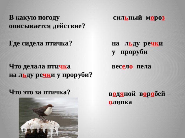 В какую погоду описывается действие? сил ь ный м о ро з Где сидела птичка? на л ь ду ре чк и у проруби Что делала пти чк а вес е л о пела на л ь ду ре чк и у проруби? Что это за птичка? в о д я ной в о р о бей – о ляпка