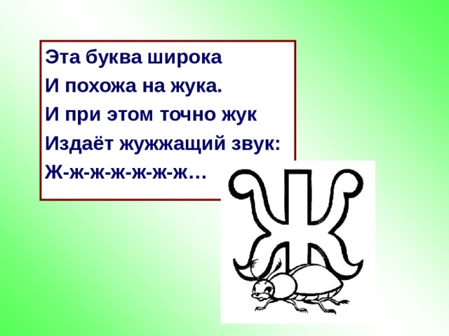 Эта буква широка И похожа на жука. И при этом точно жук Издаёт жужжащий звук: Ж-ж-ж-ж-ж-ж-ж…