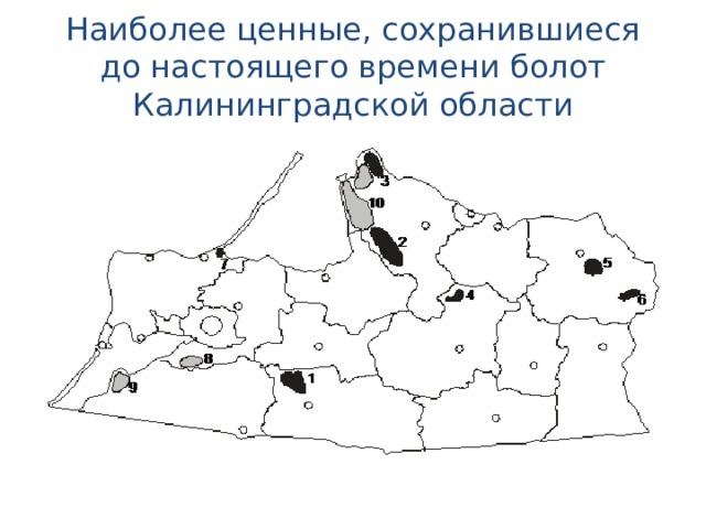 Наиболее ценные, сохранившиеся до настоящего времени болот Калининградской области