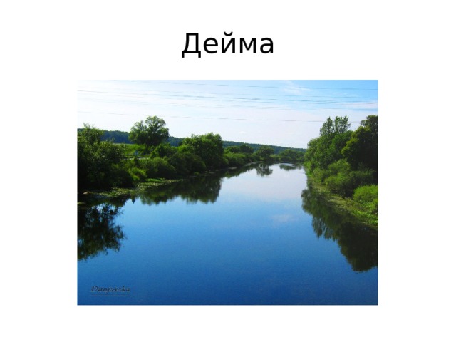 Дейма