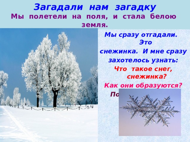 Загадали нам загадку  Мы полетели на поля, и стала белою земля. Мы сразу отгадали. Это снежинка. И мне сразу захотелось узнать: Что такое снег, снежинка? Как они образуются? Почему снежинка белая?