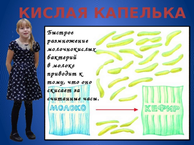 КИСЛАЯ КАПЕЛЬКА