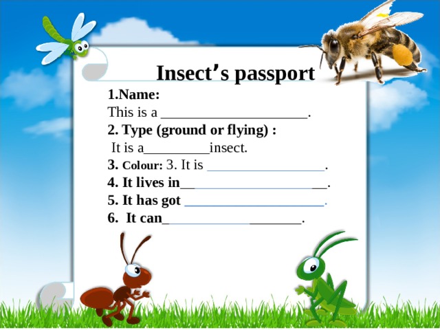 Insect ’ s passport 1.Name:  This is a ____________________. 2. Type (ground or flying) :  It is a_________insect. 3. Colour:  3. It is ________________ . 4. It lives in __ ________________ __. 5. It has got ___________________ . 6. It can _ ___________ _______.