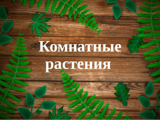 Комнатные растения