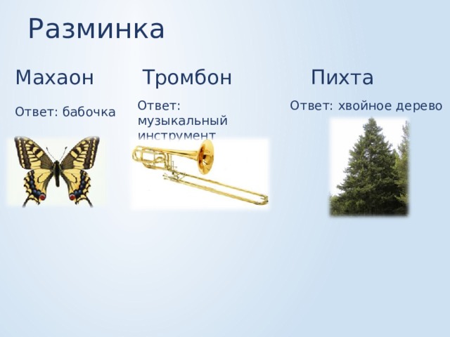 Разминка Махаон Тромбон Пихта Ответ: музыкальный инструмент Ответ: хвойное дерево Ответ: бабочка