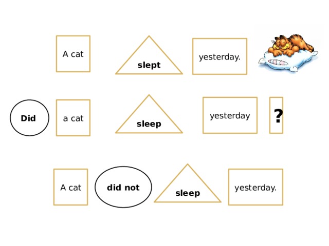 slept A cat yesterday. sleep yesterday ? a cat Did sleep did not yesterday. A cat