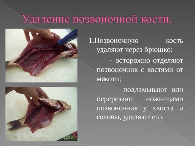 1.Позвоночную кость удаляют через брюшко:  - осторожно отделяют позвоночник с костями от мякоти;  - подламывают или перерезают ножницами позвоночник у хвоста и головы, удаляют его.