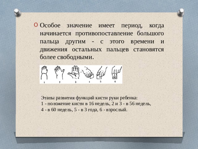 Особое значение имеет период, когда начинается противопоставление большого пальца другим - с этого времени и движения остальных пальцев становятся более свободными .