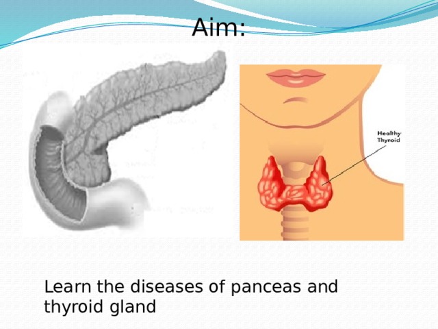 Aim: Learn the diseases of panceas and thyroid gland