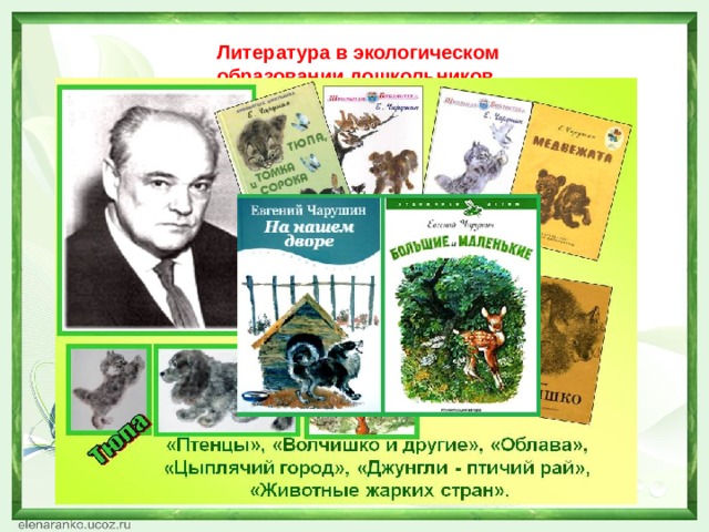 Литература в экологическом  образовании дошкольников