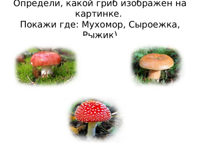 Определи, какой гриб изображен на картинке.  Покажи где: Мухомор, Сыроежка, Рыжик)
