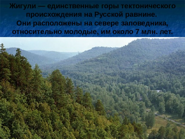 Жигули — единственные горы тектонического происхождения на Русской равнине. Они расположены на севере заповедника, относительно молодые, им около 7 млн. лет. ,