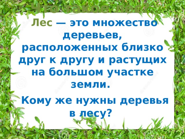 Что такое лес?   Лес   — это множество деревьев, расположенных близко друг к другу и растущих на большом участке земли.   Кому же нужны деревья в лесу?