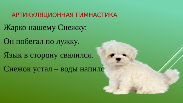 Артикуляционная гимнастика Жарко нашему Снежку: Он побегал по лужку. Язык в сторону свалился. Снежок устал – воды напился