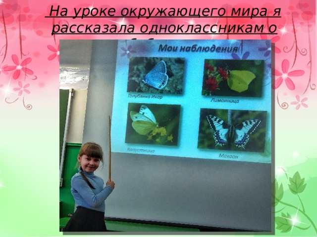 На уроке окружающего мира я рассказала одноклассникам о бабочках.