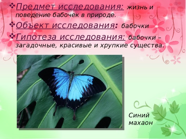 Предмет исследования:  жизнь и поведение бабочек в природе. Объект исследования : бабочки Гипотеза исследования: