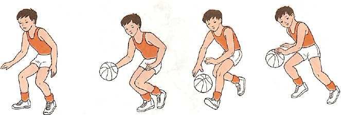 Ведение мяча двумя руками в баскетболе