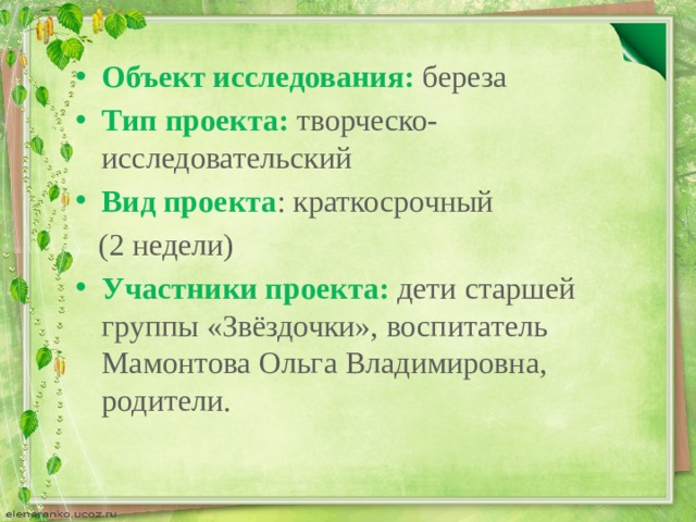 Объект исследования:  береза Тип проекта:  творческо-исследовательский Вид проекта : краткосрочный  (2 недели) Участники проекта: дети старшей группы «Звёздочки», воспитатель Мамонтова Ольга Владимировна, родители.