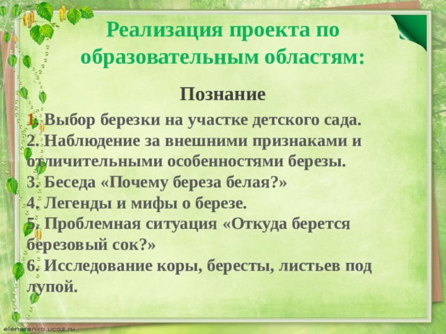 Реализация проекта по образовательным областям: Познание 1 . Выбор березки на участке детского сада.  2. Наблюдение за внешними признаками и отличительными особенностями березы.  3. Беседа «Почему береза белая?»  4. Легенды и мифы о березе.  5. Проблемная ситуация «Откуда берется березовый сок?»  6. Исследование коры, бересты, листьев под лупой.