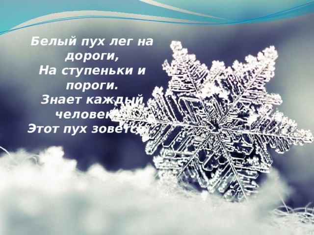 Белый пух лег на дороги,  На ступеньки и пороги.  Знает каждый человек —  Этот пух зовется…