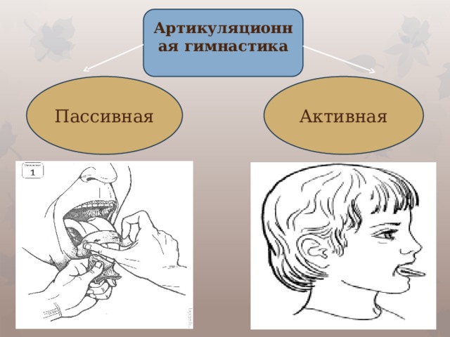 Артикуляционная гимнастика Пассивная Активная