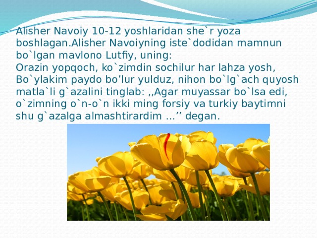 Alisher Navoiy 10-12 yoshlaridan she`r yoza boshlagan.Alisher Navoiyning iste`dodidan mamnun bo`lgan mavlono Lutfiy, uning:  Orazin yopqoch, ko`zimdin sochilur har lahza yosh,  Bo`ylakim paydo bo’lur yulduz, nihon bo`lg`ach quyosh  matla`li g`azalini tinglab: ,,Agar muyassar bo`lsa edi, o`zimning o`n-o`n ikki ming forsiy va turkiy baytimni shu g`azalga almashtirardim …’’ degan.