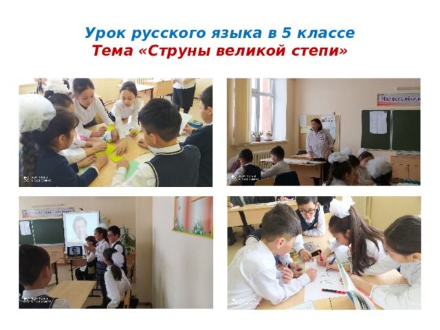 Урок русского языка в 5 классе  Тема «Струны великой степи»