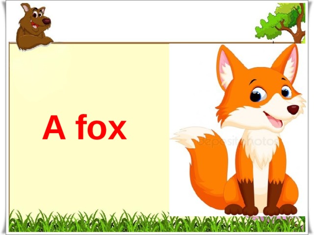 A fox