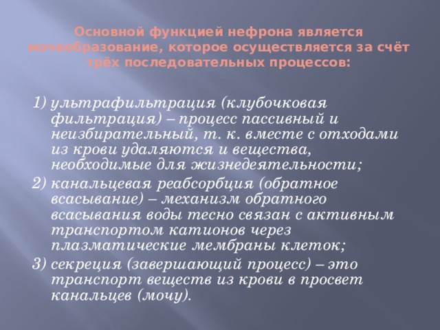 Основной функцией нефрона является мочеобразование, которое осуществляется за счёт трёх последовательных процессов: 1) ультрафильтрация (клубочковая фильтрация) – процесс пассивный и неизбирательный, т. к. вместе с отходами из крови удаляются и вещества, необходимые для жизнедеятельности; 2) канальцевая реабсорбция (обратное всасывание) – механизм обратного всасывания воды тесно связан с активным транспортом катионов через плазматические мембраны клеток; 3) секреция (завершающий процесс) – это транспорт веществ из крови в просвет канальцев (мочу).