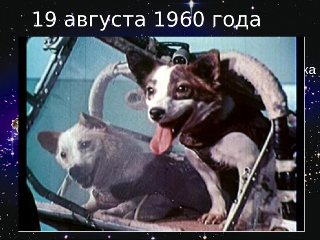 19 августа 1960 года 2 собаки – Белка и Стрелка 28 лабораторных мышей 2 крысы Белка и стрелка