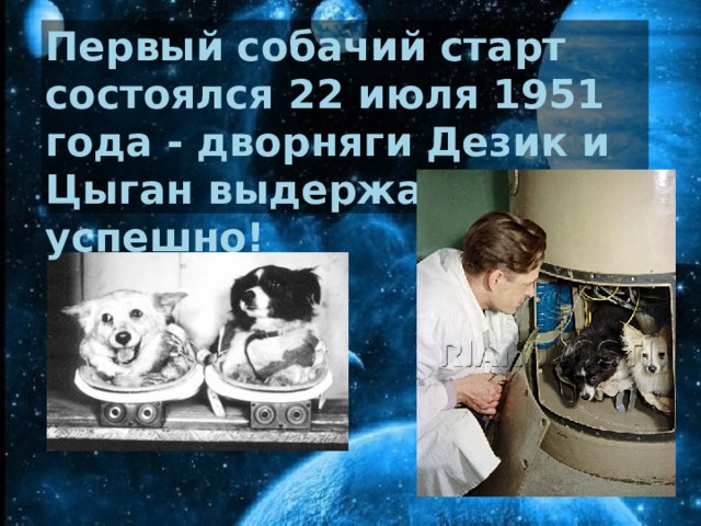 Первый собачий старт состоялся 22 июля 1951 года - дворняги Дезик и Цыган выдержали его успешно!