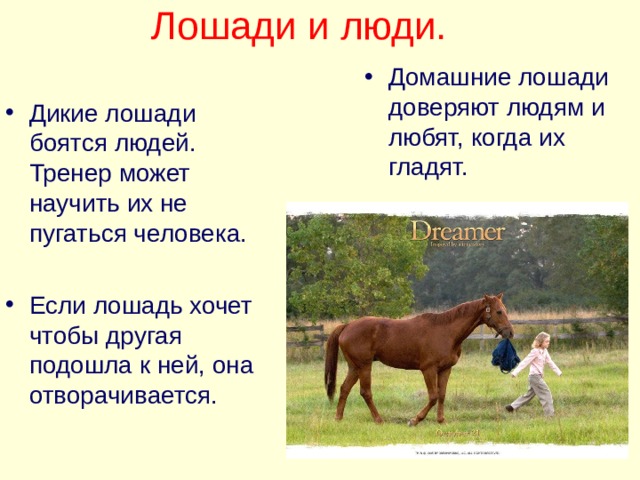 Лошади и люди.