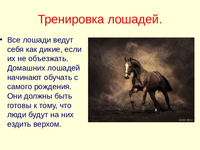 Одомашнивание лошади презентация