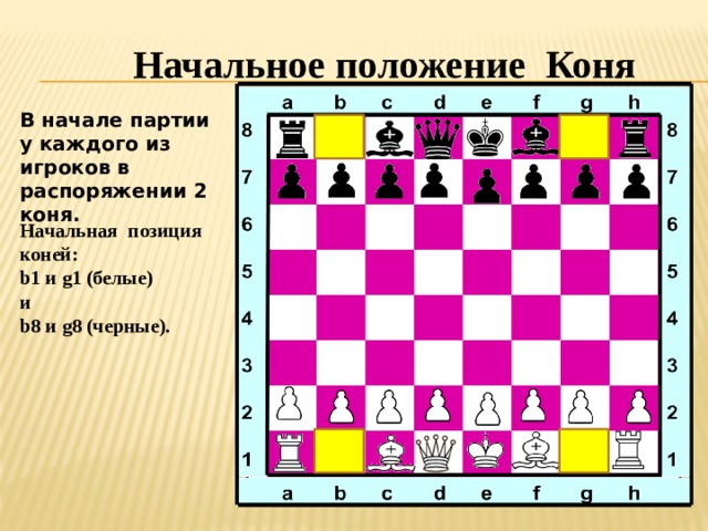 Начальное положение Коня В начале партии у каждого из игроков в распоряжении 2 коня.  Начальная позиция коней:  b1 и g1 (белые) и  b8 и g8 (черные).  