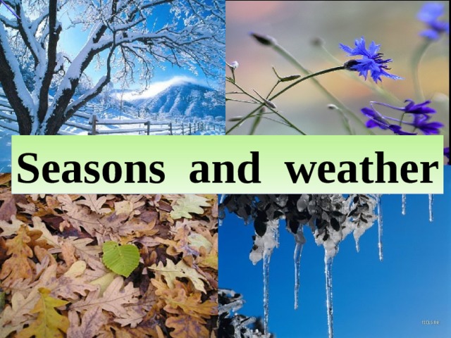 Seasons and  weather