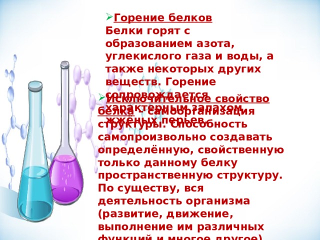 Горение белков Белки горят с образованием азота, углекислого газа и воды, а также некоторых других веществ. Горение сопровождается характерным запахом жжёных перьев. Исключительное свойство белка