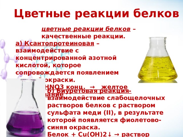 Цветные реакции белков  цветные реакции белков – качественные реакции. а) Ксантопротеиновая – взаимодействие с концентрированной азотной кислотой, которое сопровождается появлением желтой окраски. Белок +HNO3 конц. → желтое окрашивание б ) Биуретовая реакция- взаимодействие слабощелочных растворов белков с раствором сульфата меди (II), в результате которой появляется фиолетово-синяя окраска. Белок + Cu(OH)2↓ → раствор фиолетового цвета