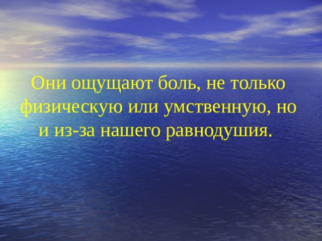 Они ощущают боль, не только физическую или умственную, но и из-за нашего равнодушия.