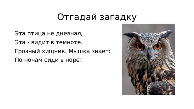 Отгадай загадку Эта птица не дневная, Эта - видит в темноте. Грозный хищник. Мышка знает: По ночам сиди в норе!