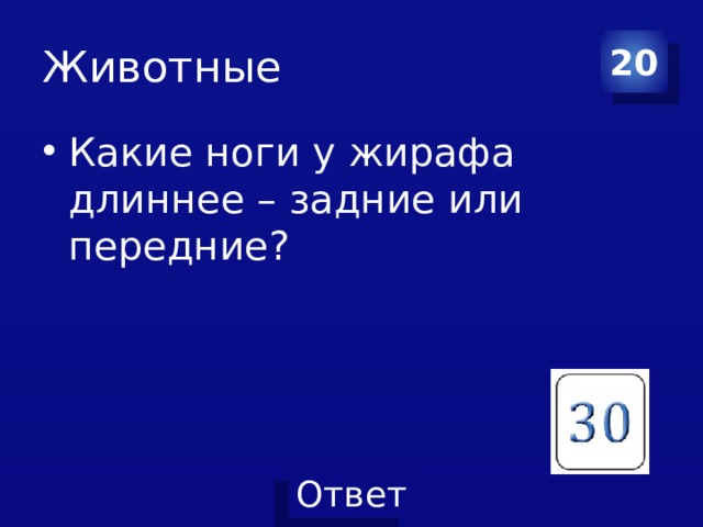 Животные 20