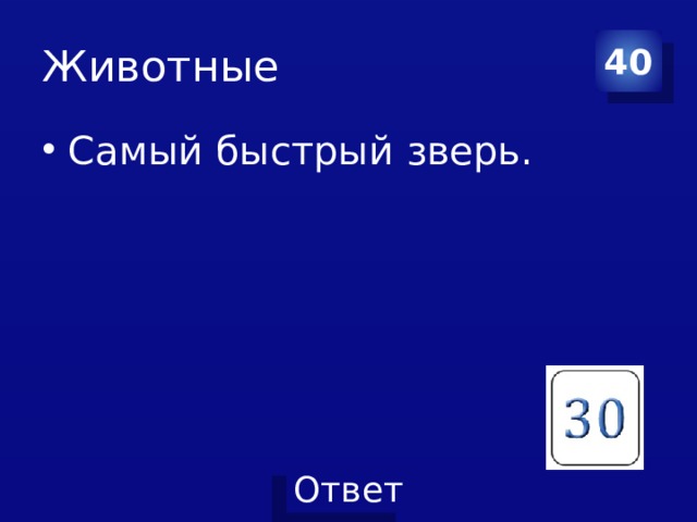 Животные 40