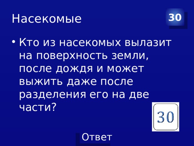 Насекомые 30