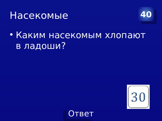 Насекомые 40