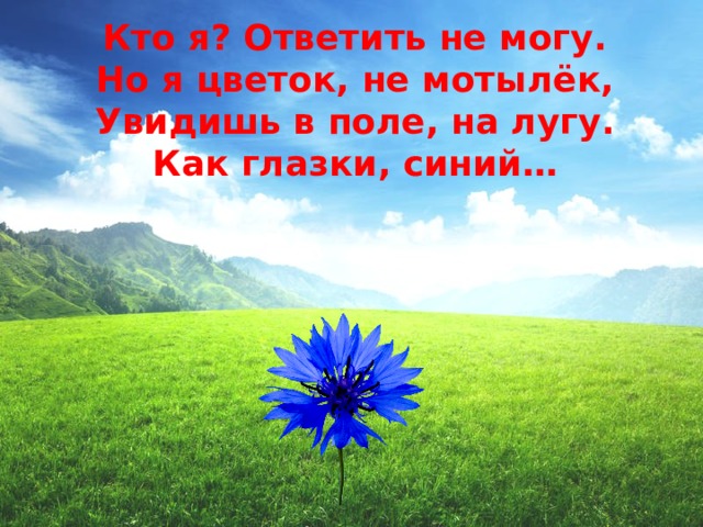 Кто я? Ответить не могу.  Но я цветок, не мотылёк,  Увидишь в поле, на лугу.  Как глазки, синий…